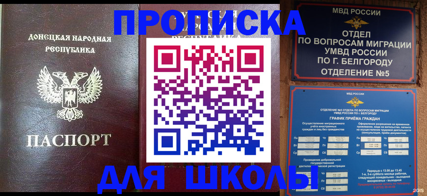 прописка для работы в Бабаево